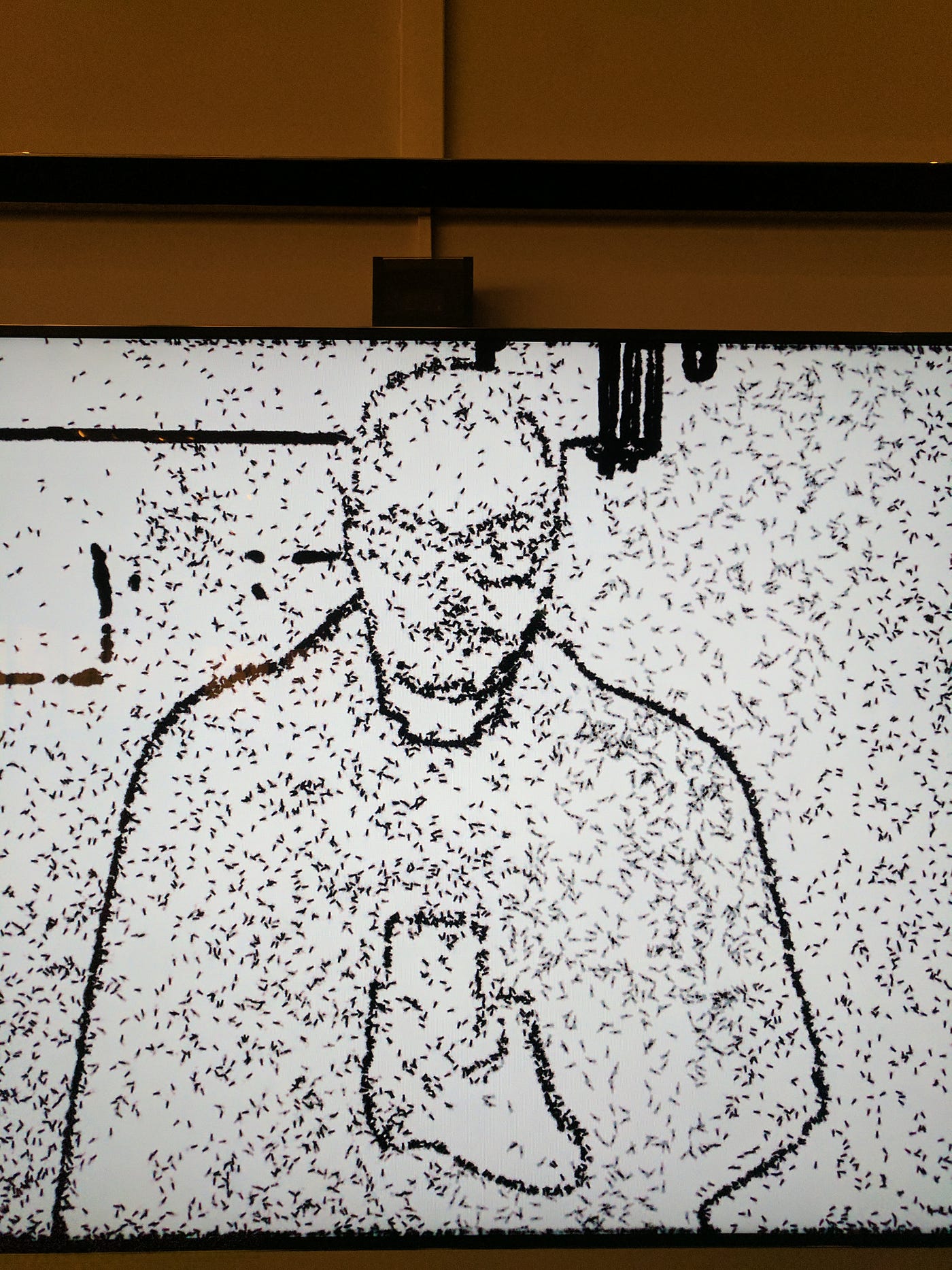 The pirate bay tshirt and an interactive art installation
